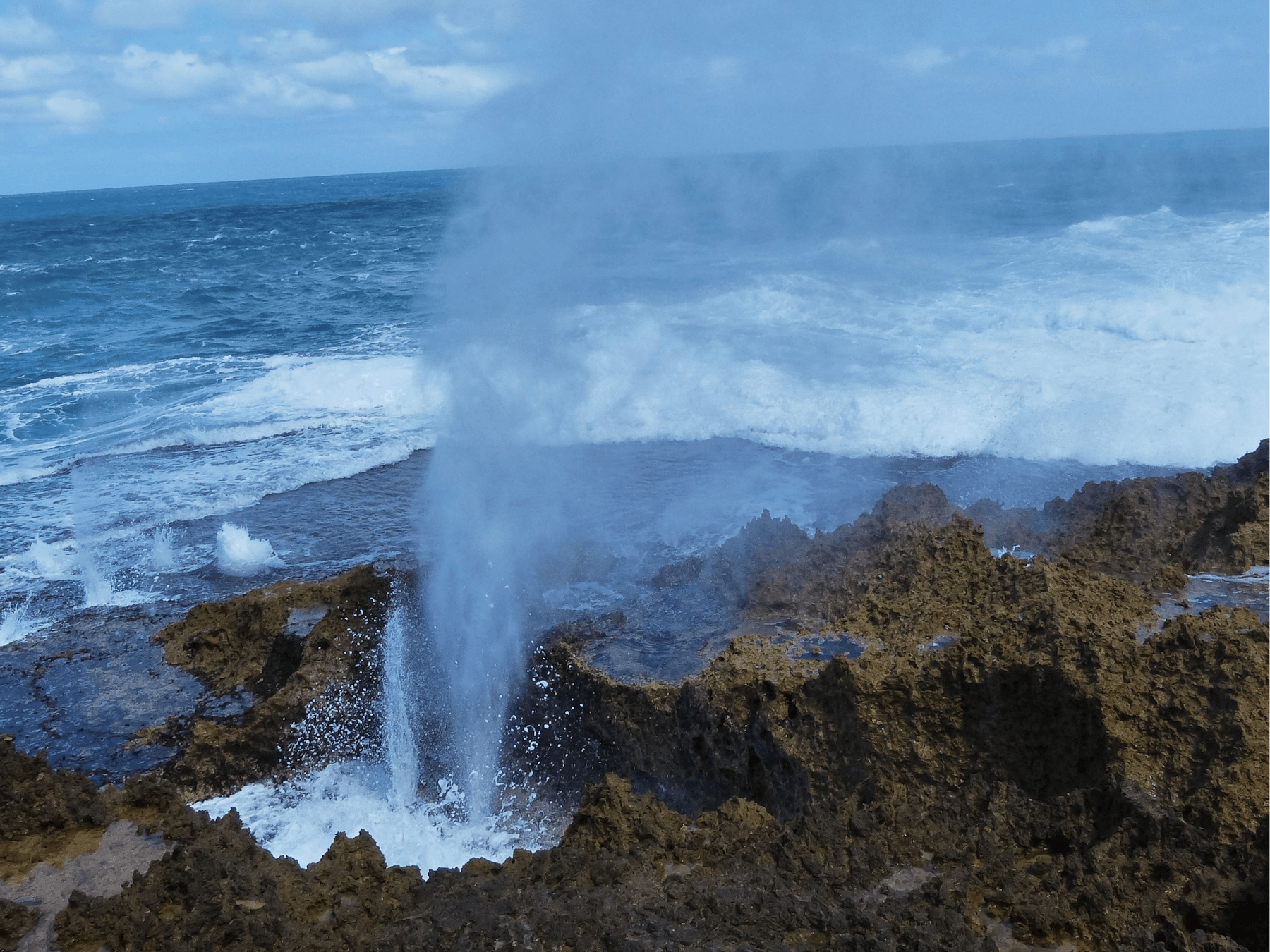 Otto Tours, Gosnells, Western Australia