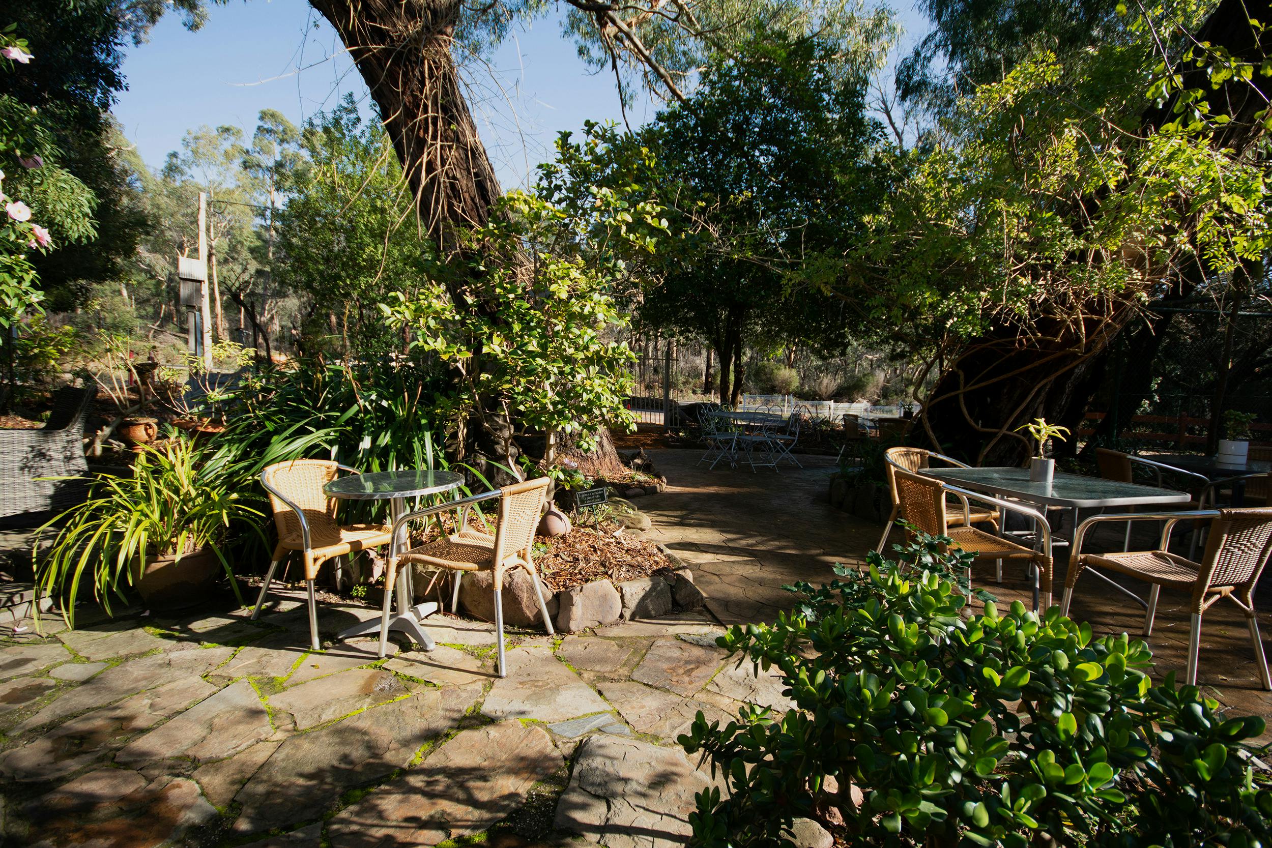Adventure Cafe Bar
