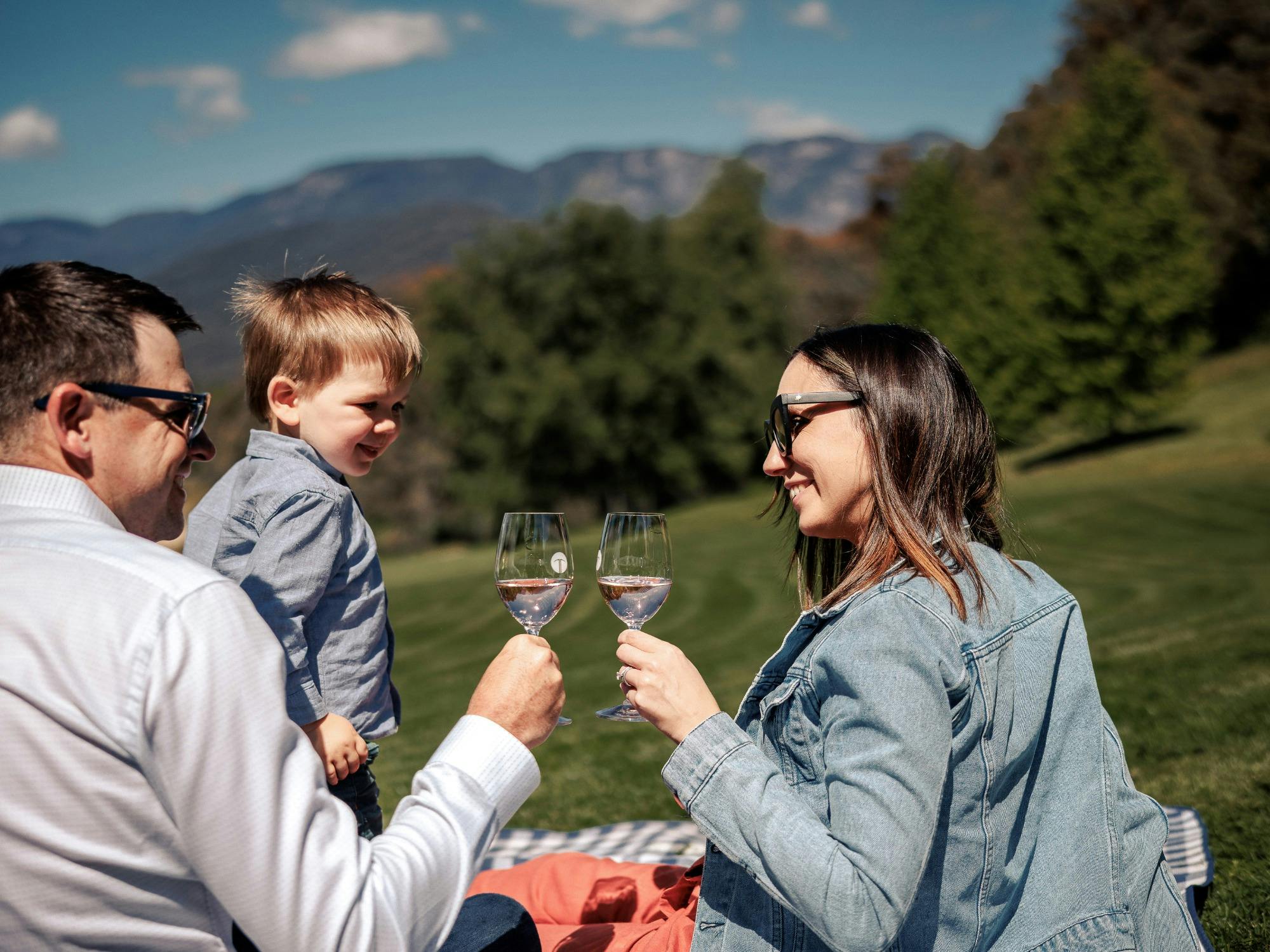 Family friendly picnic spot with view of Mt Buffalo