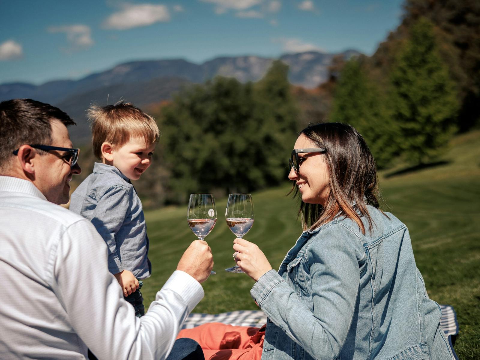 Family friendly picnic spot with view of Mt Buffalo