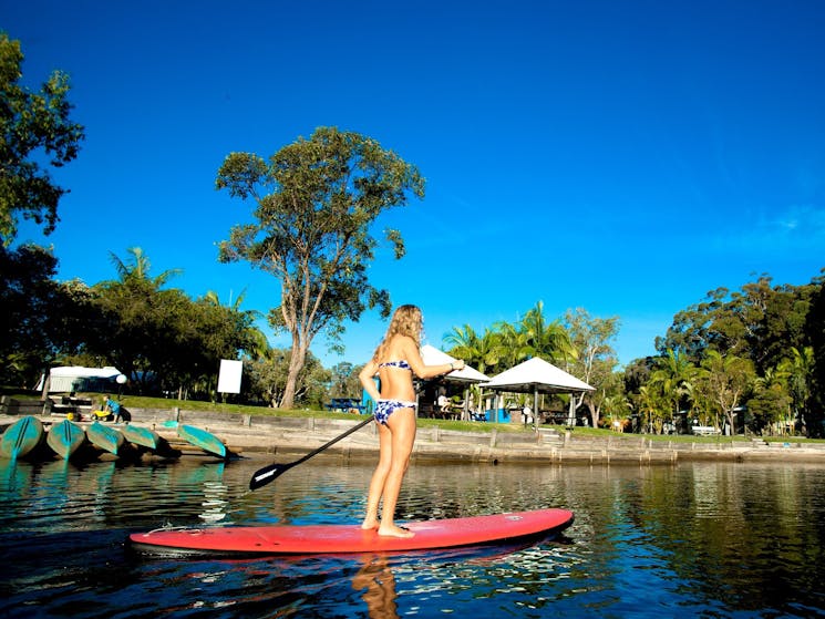 Paddleboarding on the Billabong