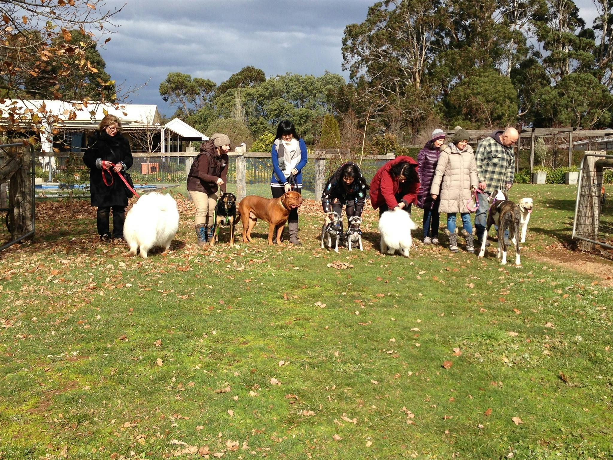 Truffle Hunts