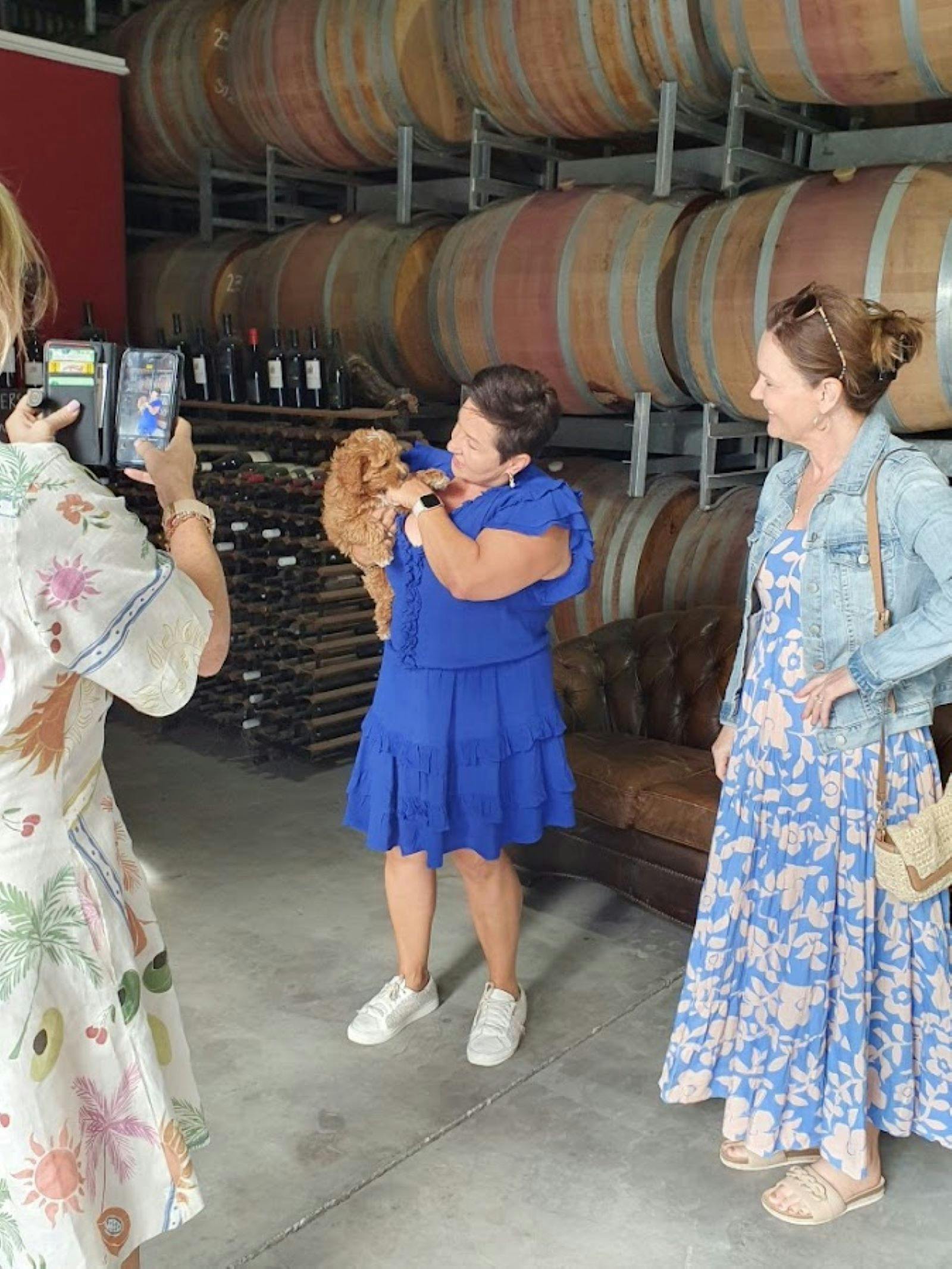 You never know what or who you will meet on ExperienceSA tours.  Can you find Archie ?.