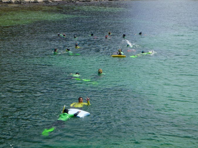 Mighty Yowies Kayaking Snorkeling