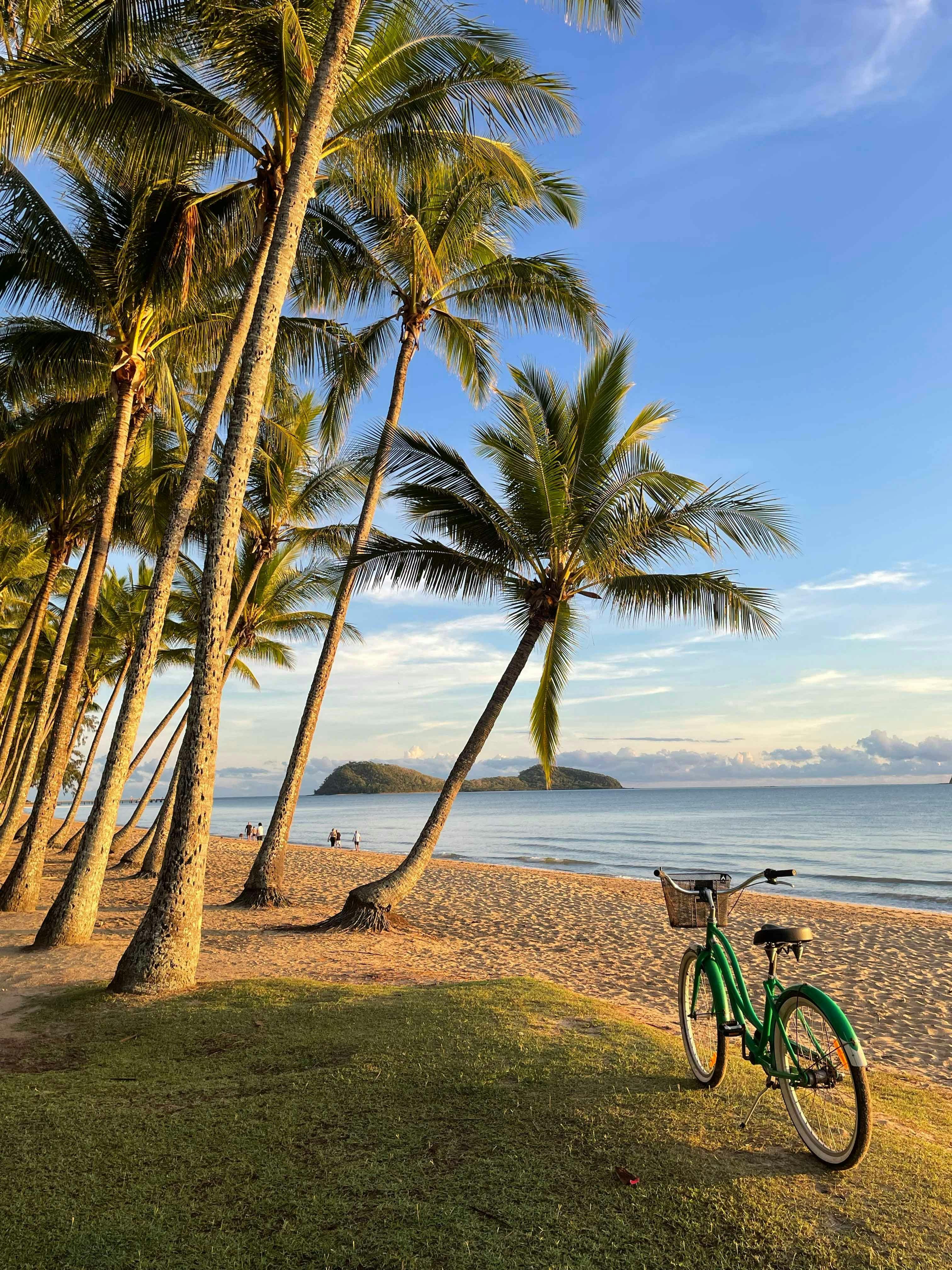 Little Green Bicycle Art Studio & Shop, Palm Cove