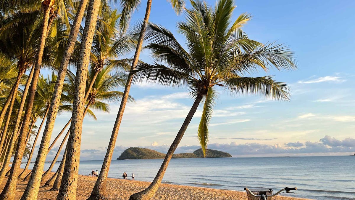 Little Green Bicycle Art Studio & Shop, Palm Cove
