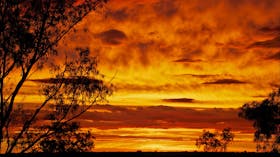 Bright golden and orange sunset.
