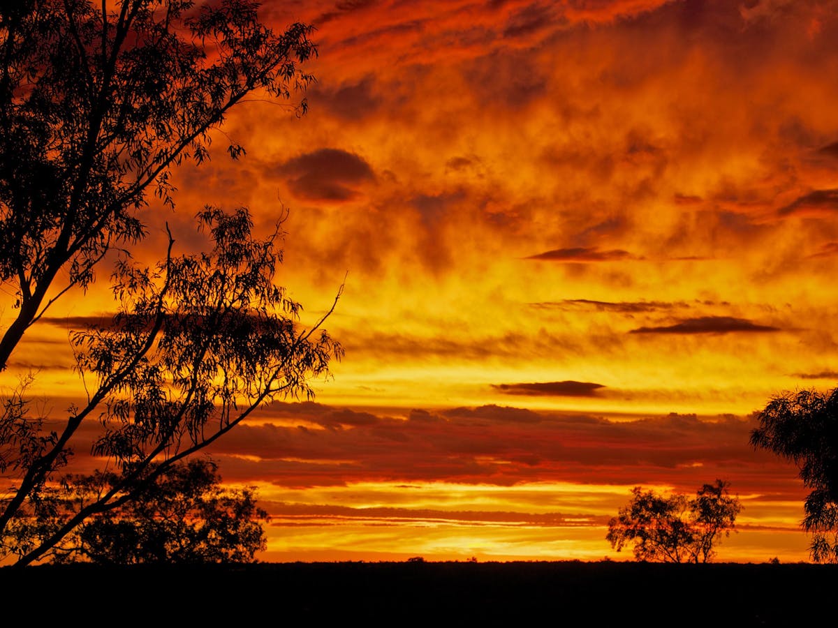 Bright golden and orange sunset.