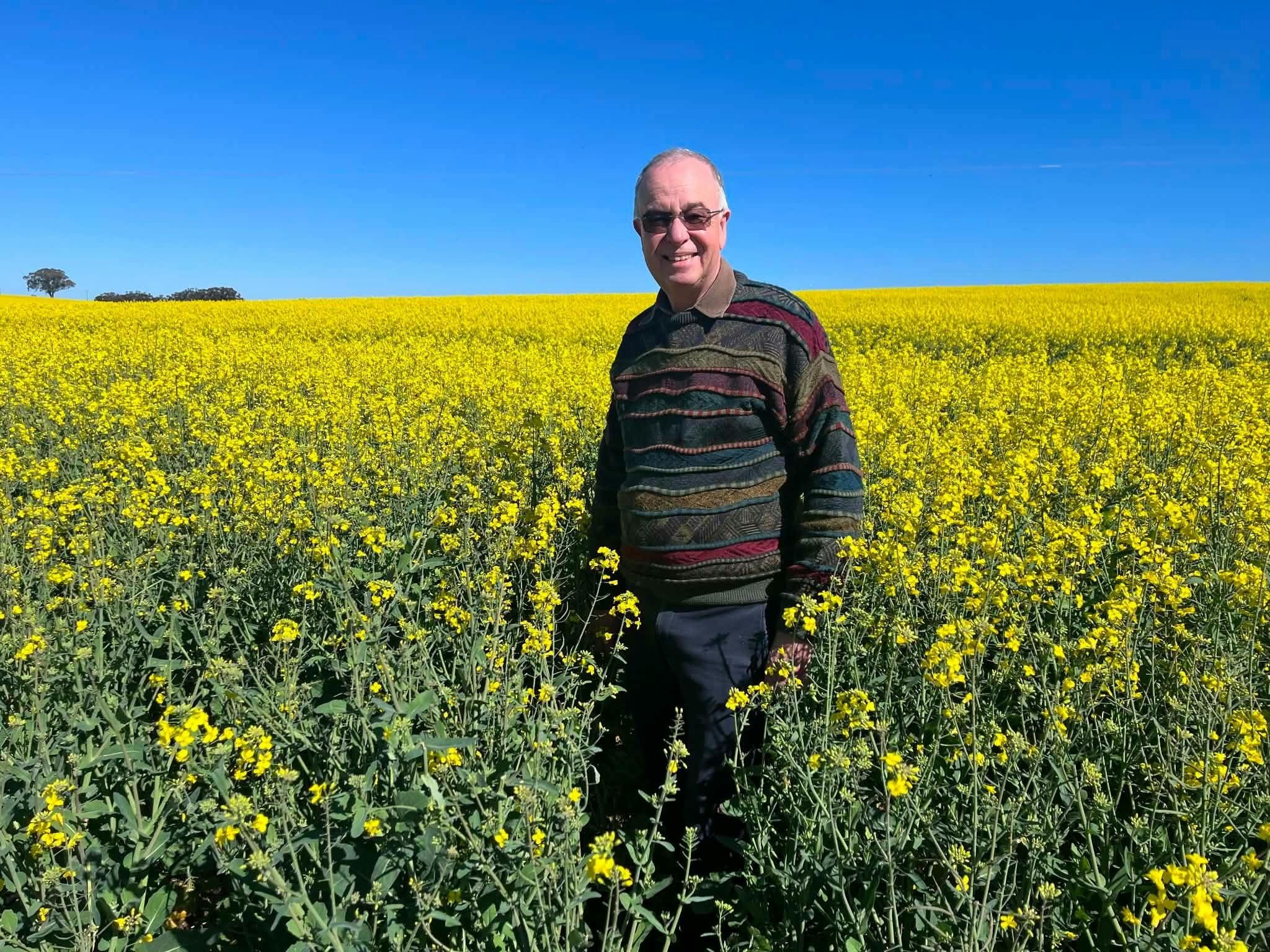 Male Eucalypt Tours guide standing in a vibrant yellow canola field near Cowra.
