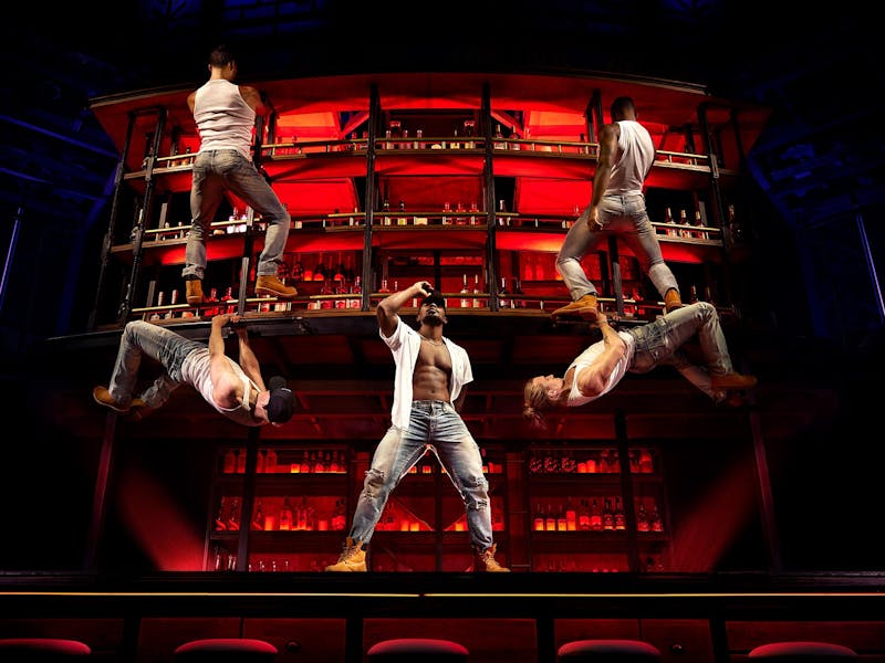 Image for Magic Mike Live!