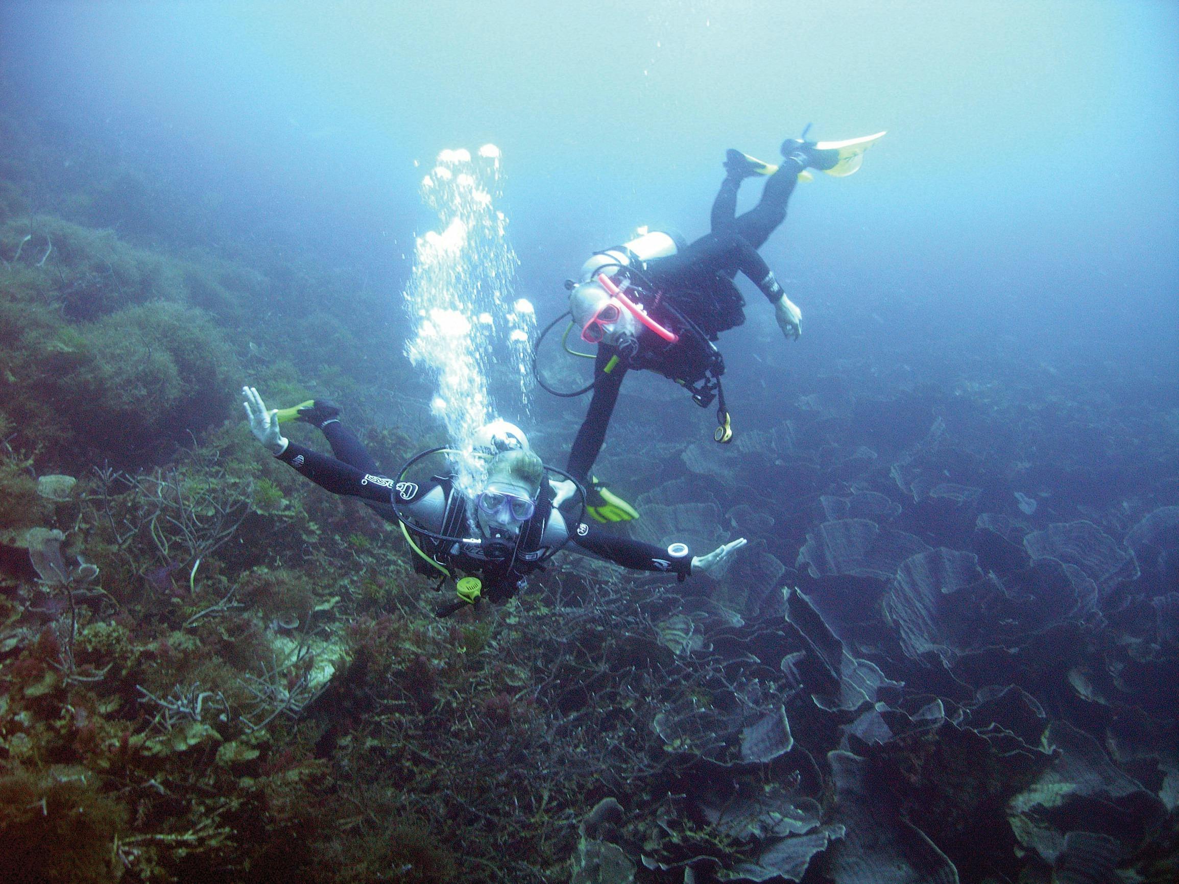 Best of Coral Coast, Abrolhos Islands, Western Australia