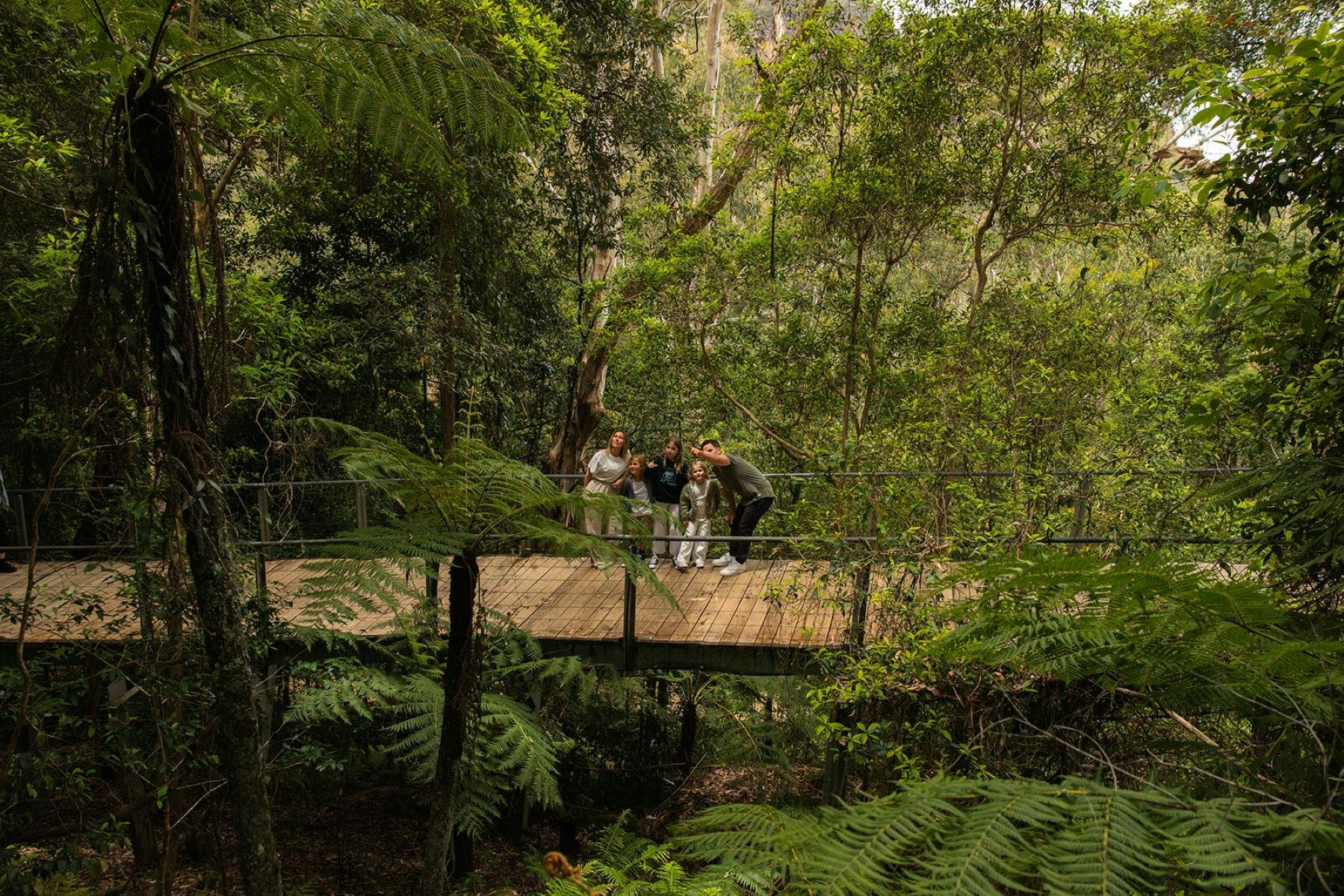 A family on a boardwalk looking up at the rainforest canopy