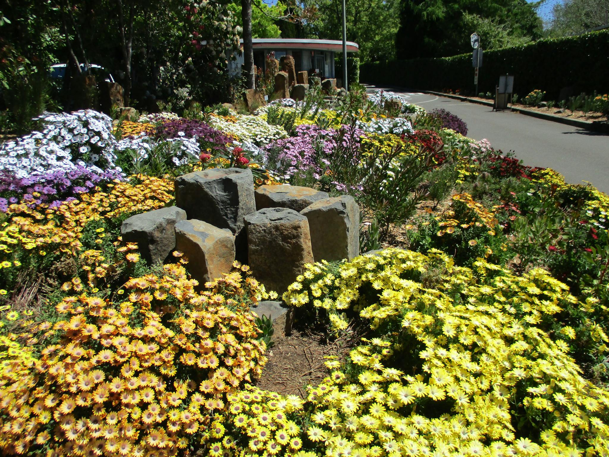 Garden bed at entrance to Blue Mountains Botanic Garden Mt Tomah