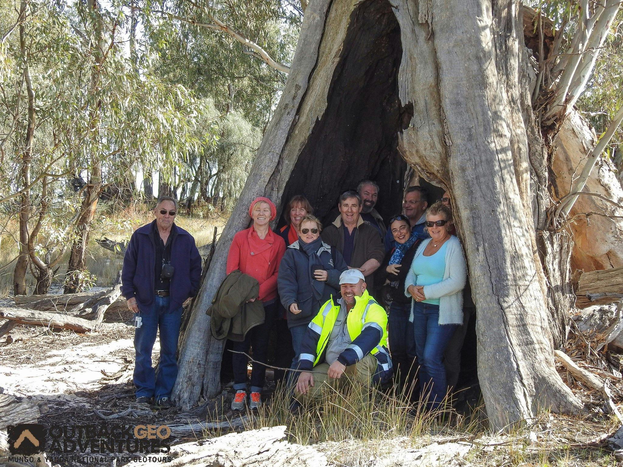 Yanga National Park - Teepee Tree