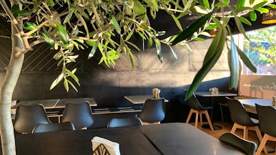 View through the real feature olive tree in our new dining room.