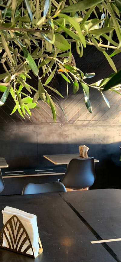 View through the real feature olive tree in our new dining room.