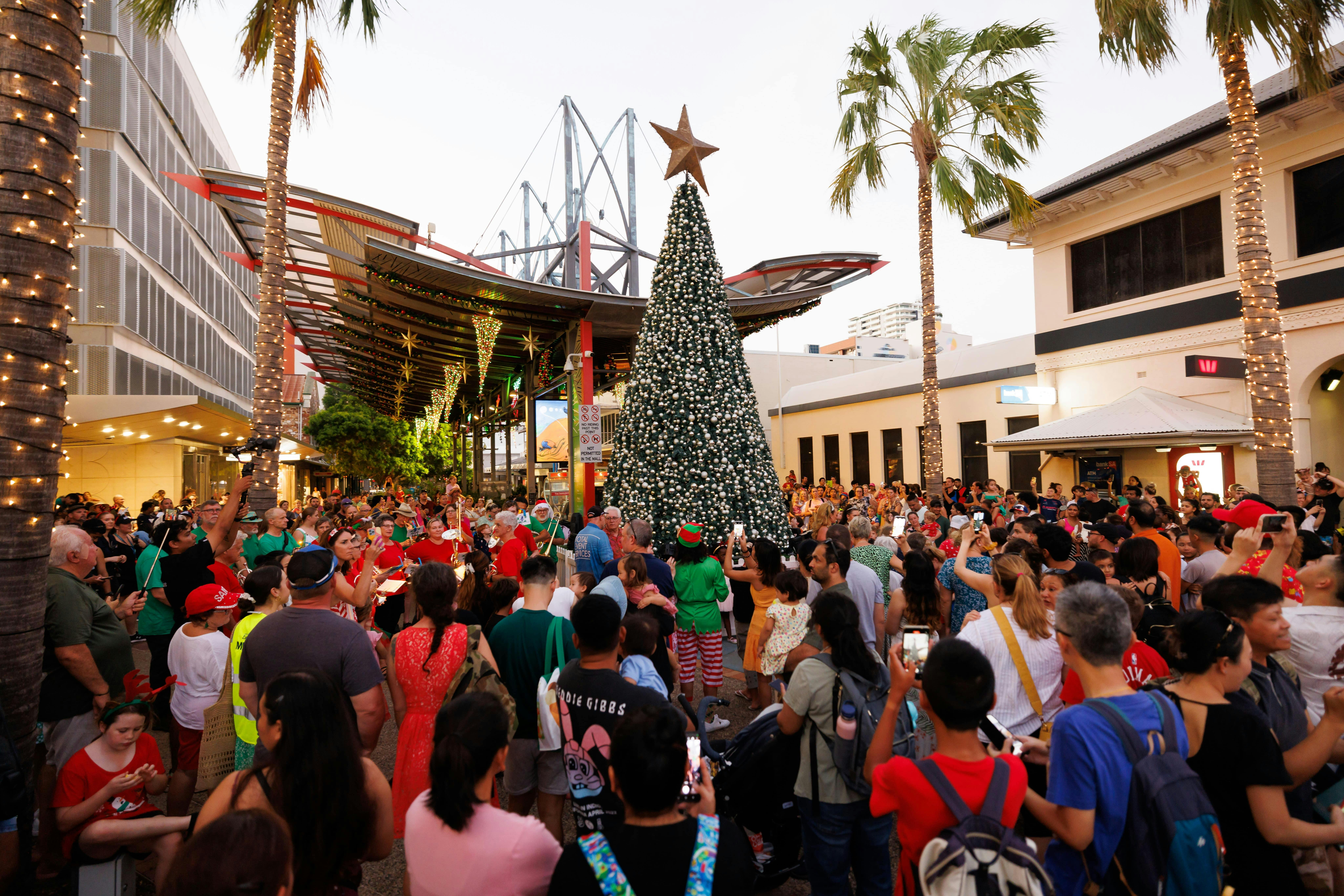 A Very Darwin Christmas Pageant
