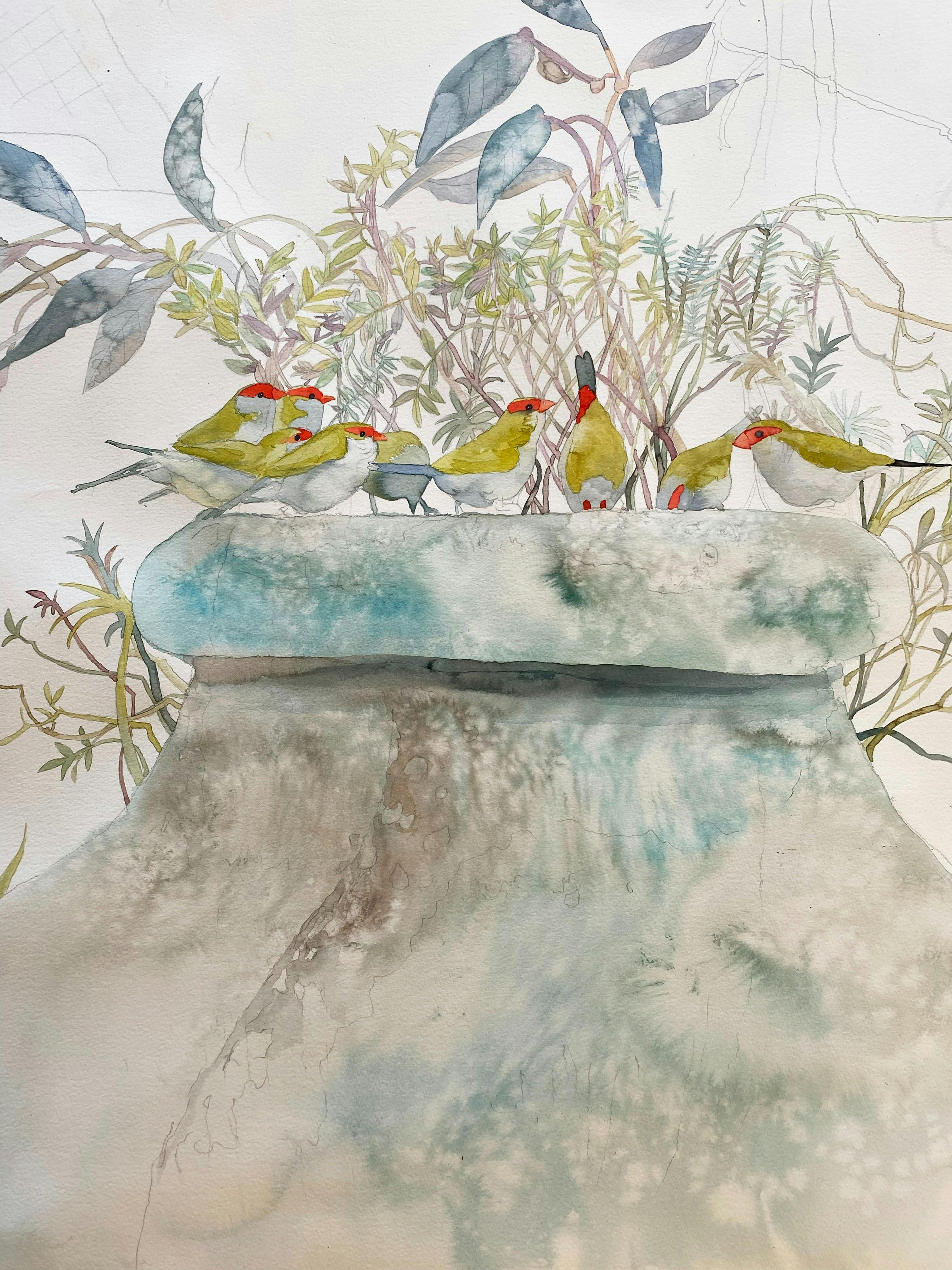 Our Backyard by Vicki Luke