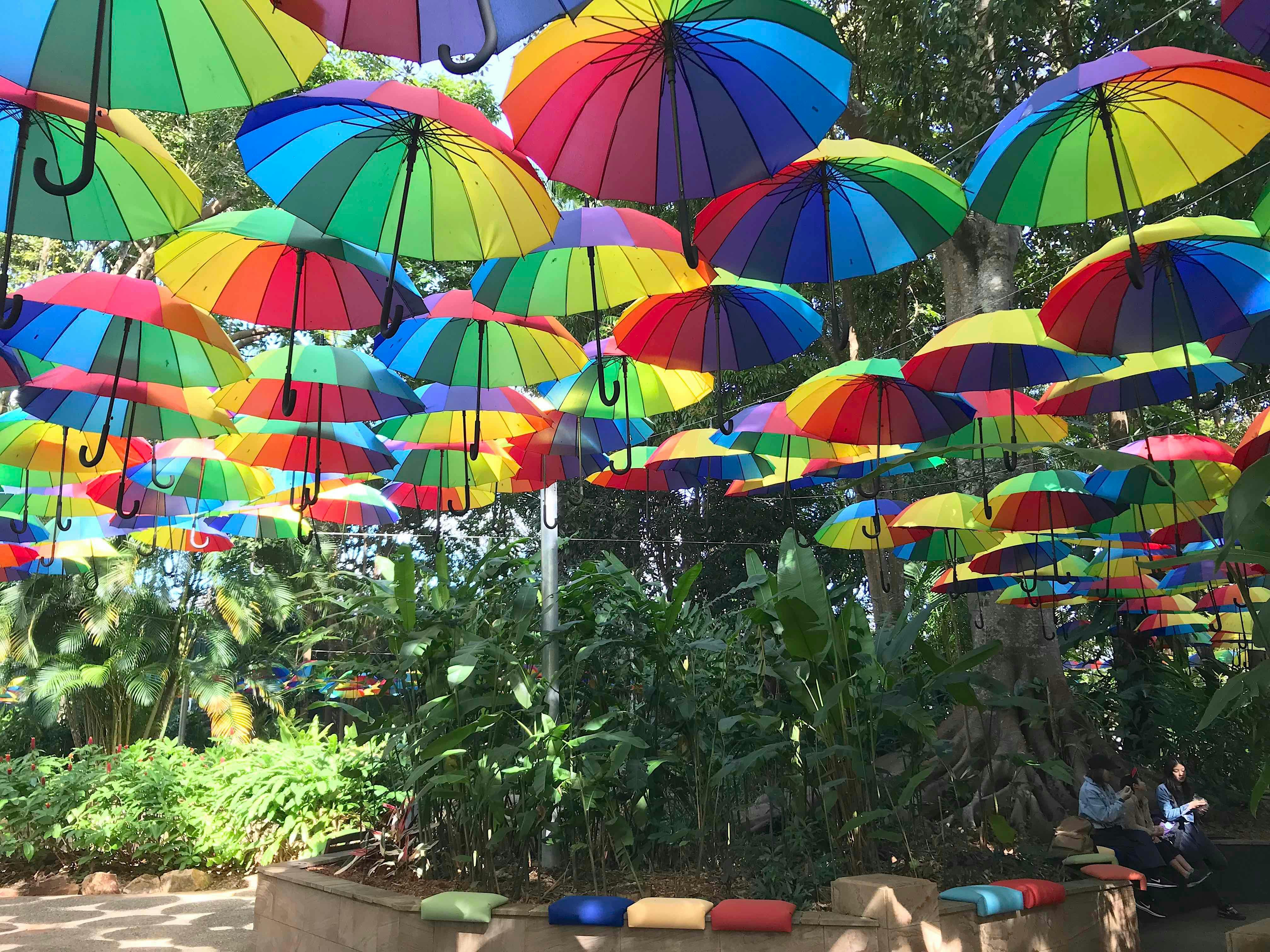 Joel's Journeys - West of Noosa Tour