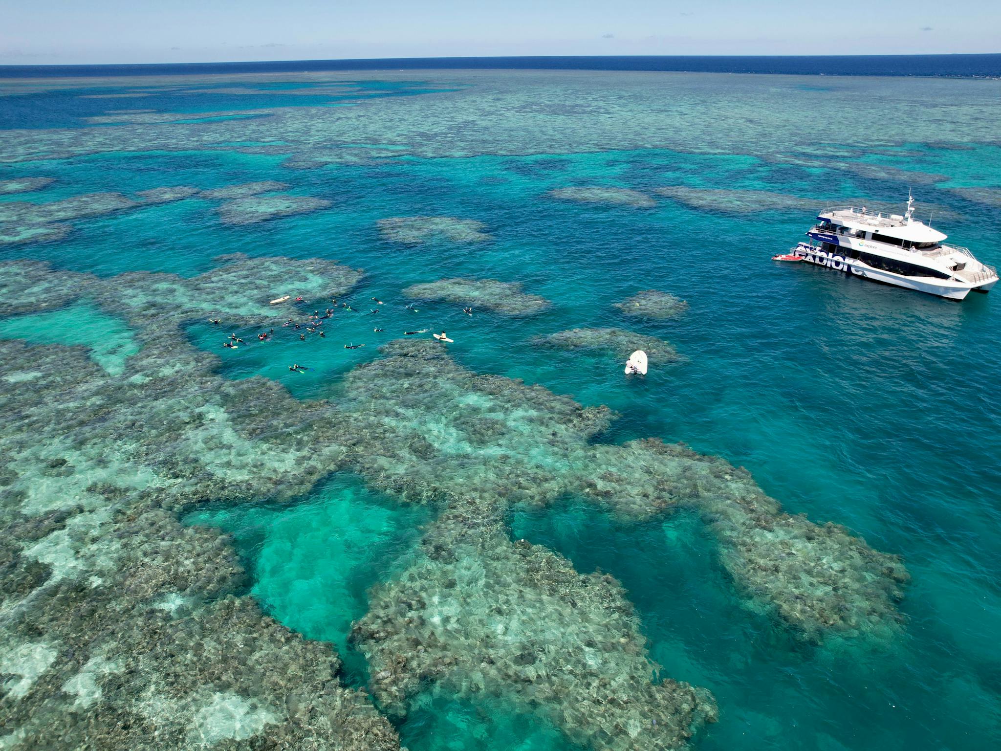 Ocean Explorer at Bait Reef Ocean Explorer at Bait Reef