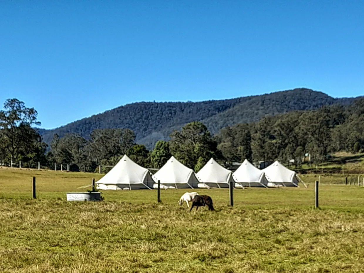 Sunshine Glamping Co.