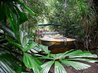 Explore the rainforest on an authentic World War 2 Army Duck at Rainforestation