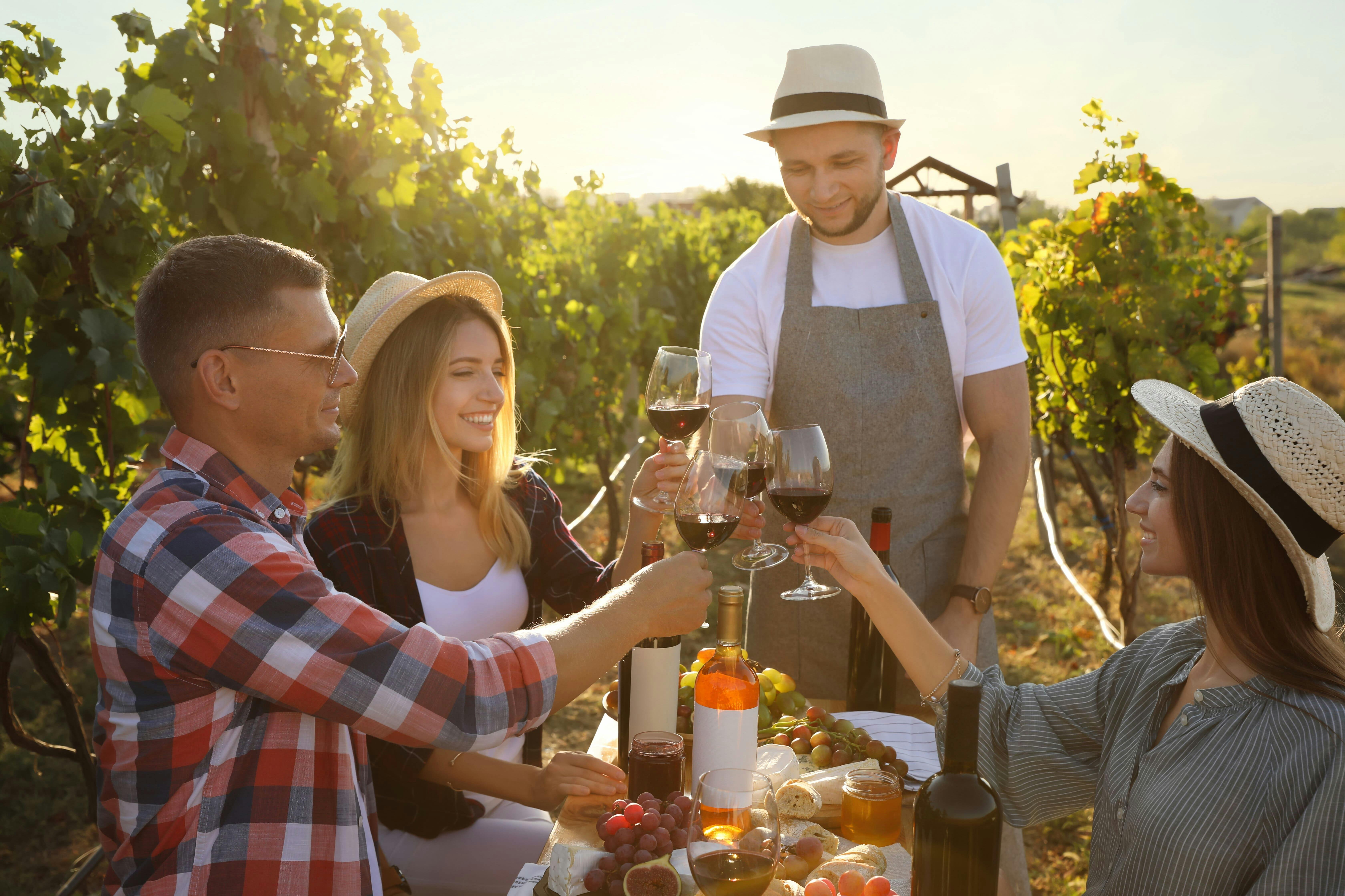 Private Wine Tours