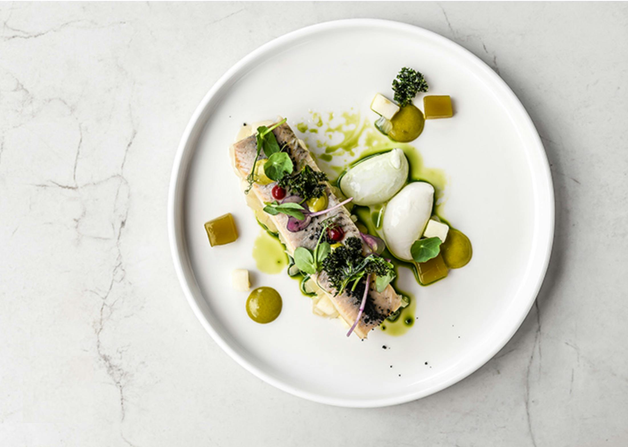 Gourmet plated fish dish with herbs and green oil on EV Arcadia Electric Indulgence