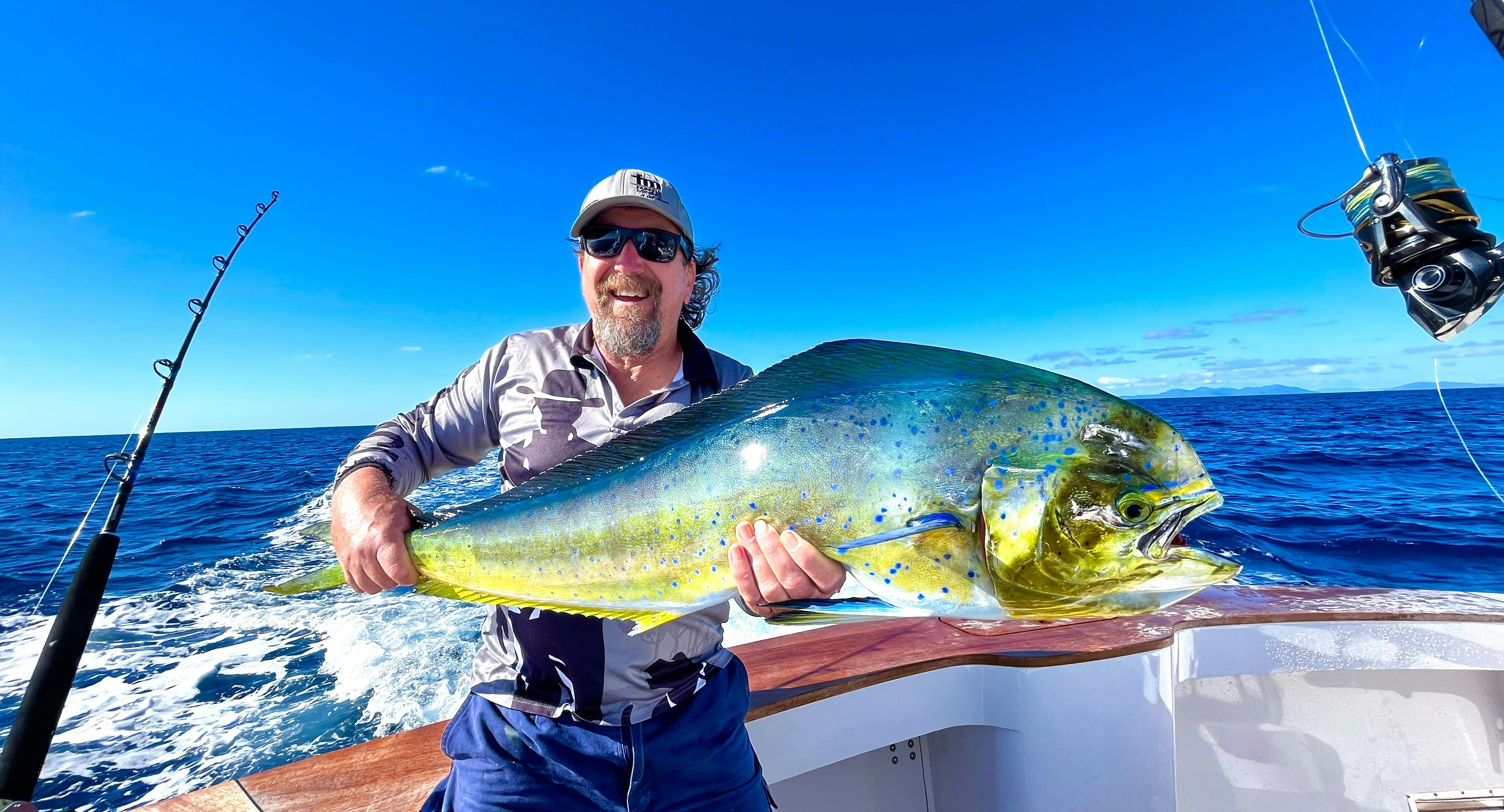 mahi-mahi
