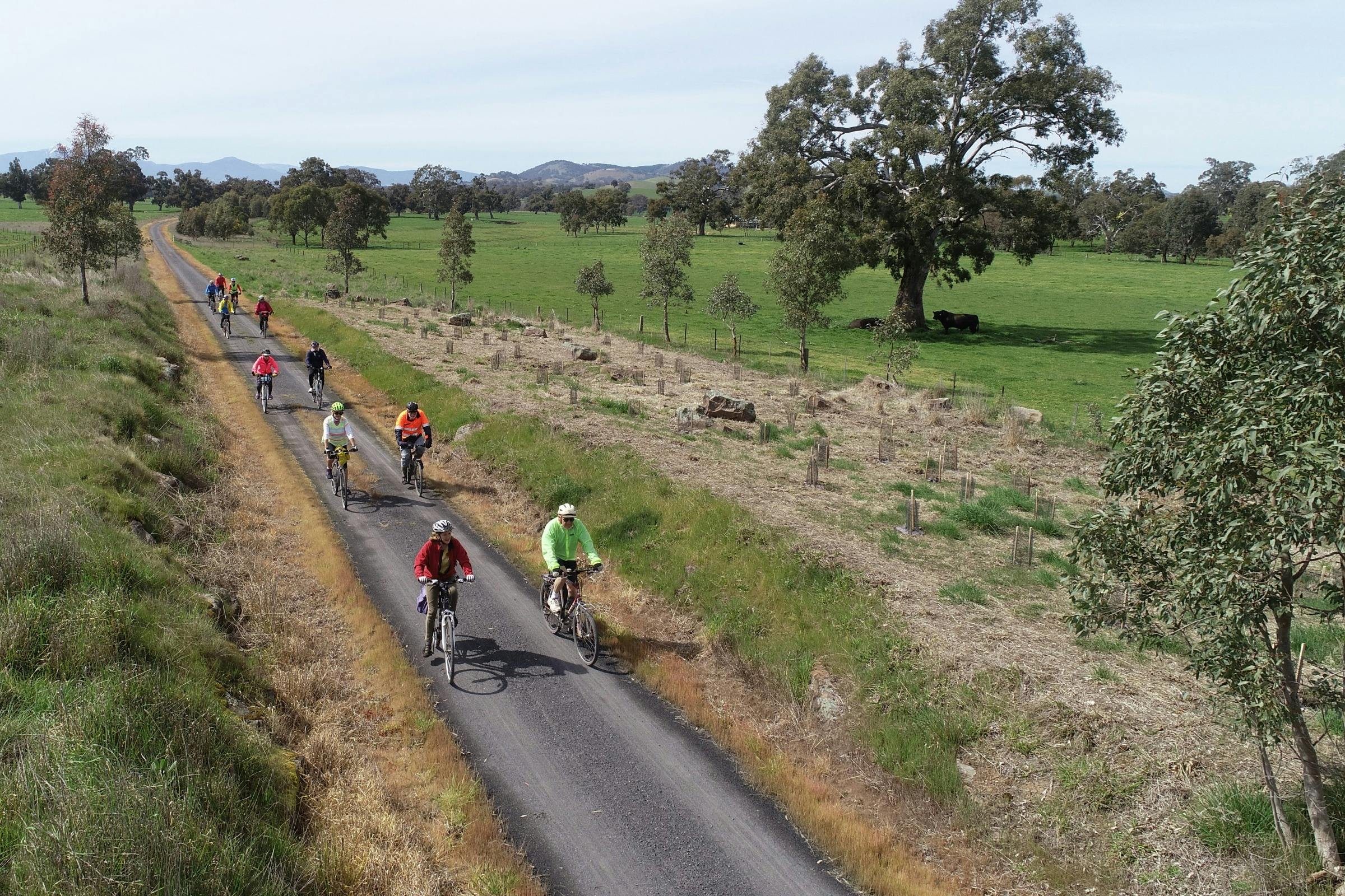 Tour de Trail