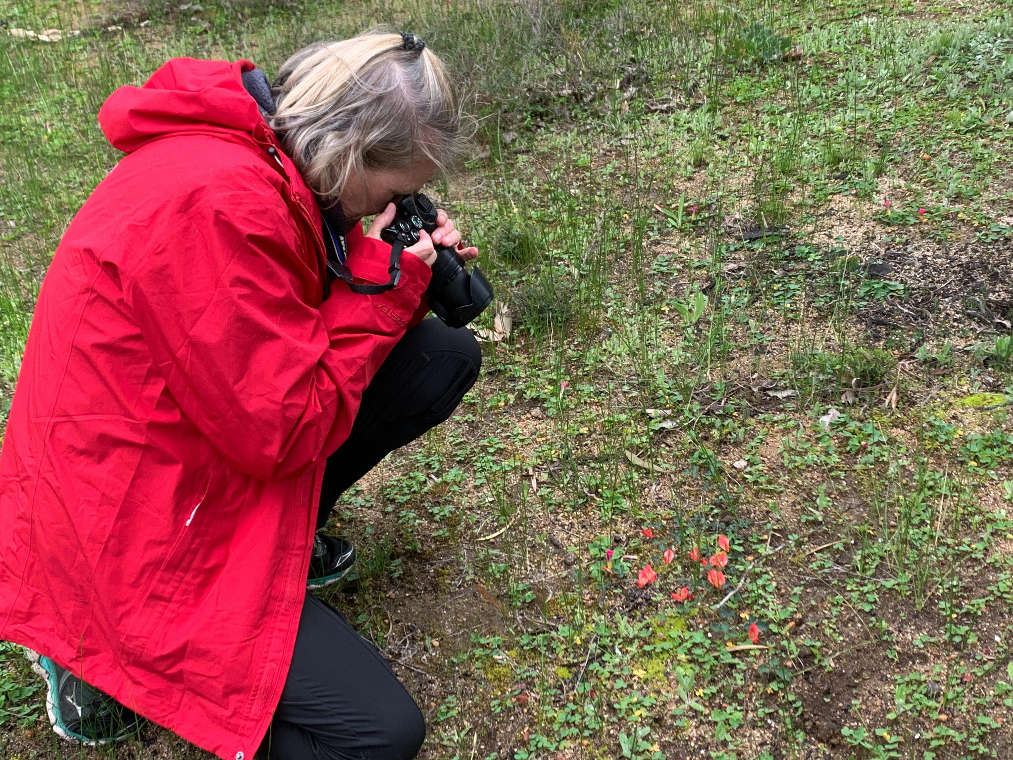 Woman taking photos of wildflowers
