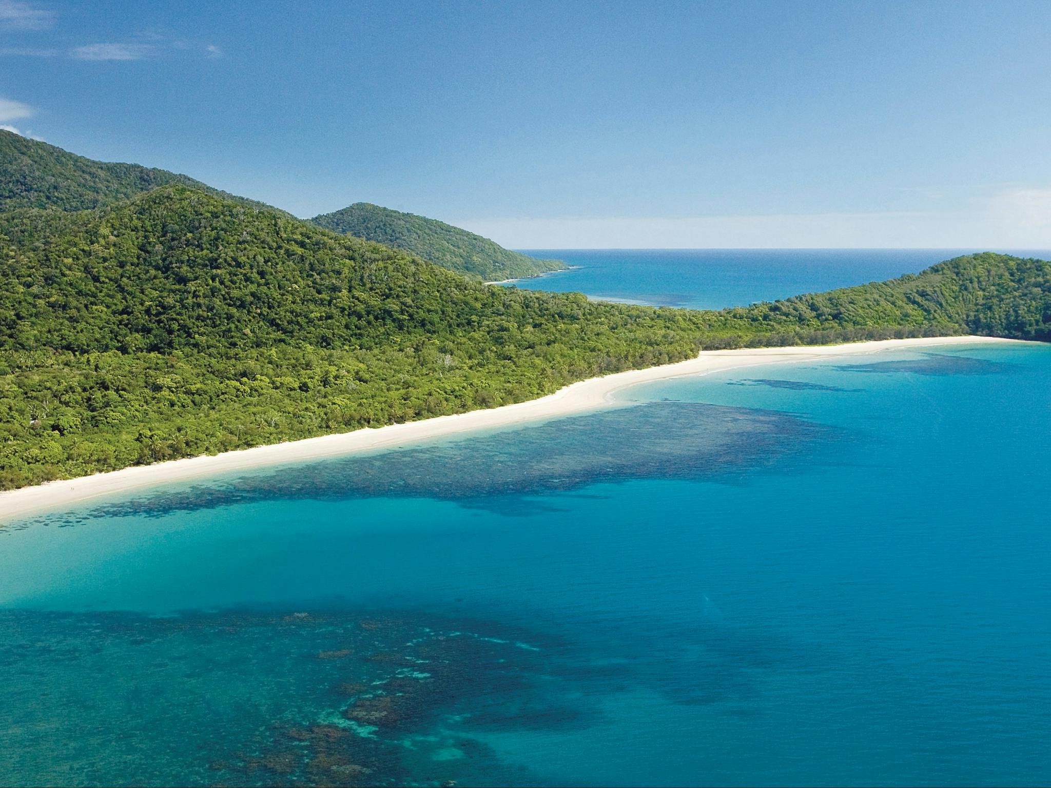 rainforested mountains meet the sea at Cape Tribulation. rainforested mountains meet the sea at Cape Tribulation.