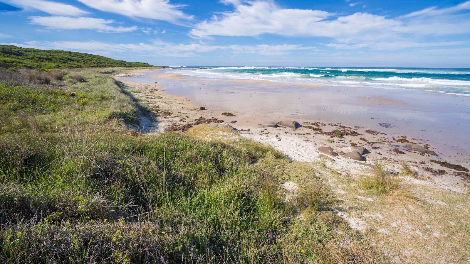 Racecourse Beach - Bawley Point