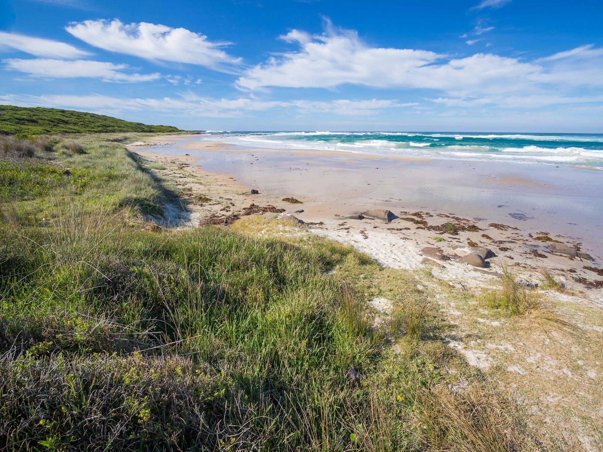 Racecourse Beach - Bawley Point