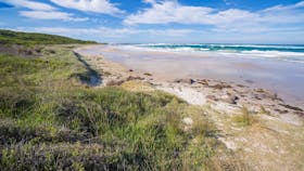 Racecourse Beach - Bawley Point