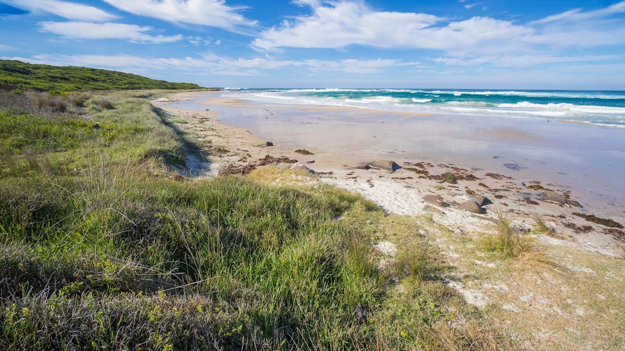 Racecourse Beach, Bawley Point