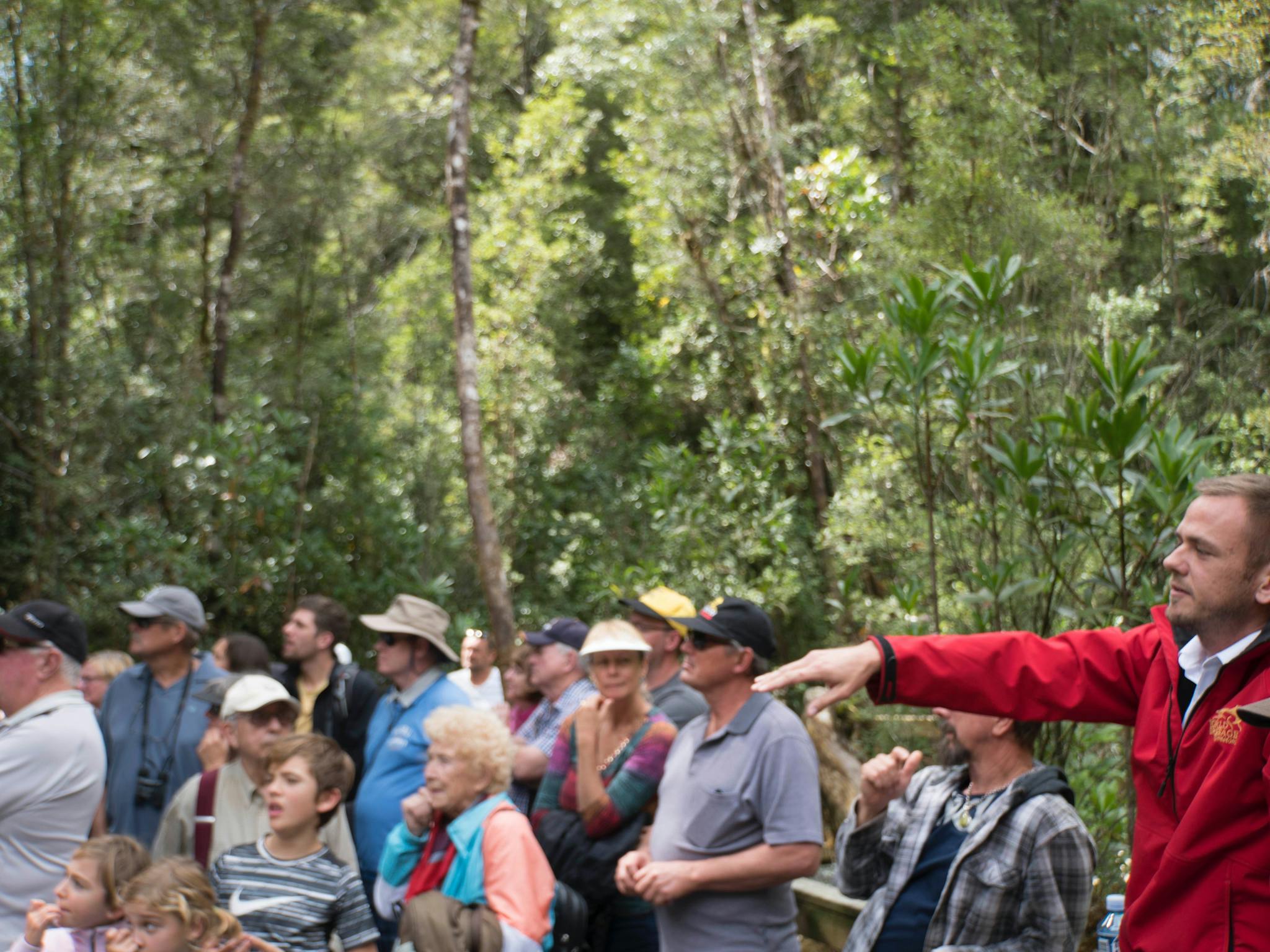 Walk amongst ancient trees at Heritage Landing