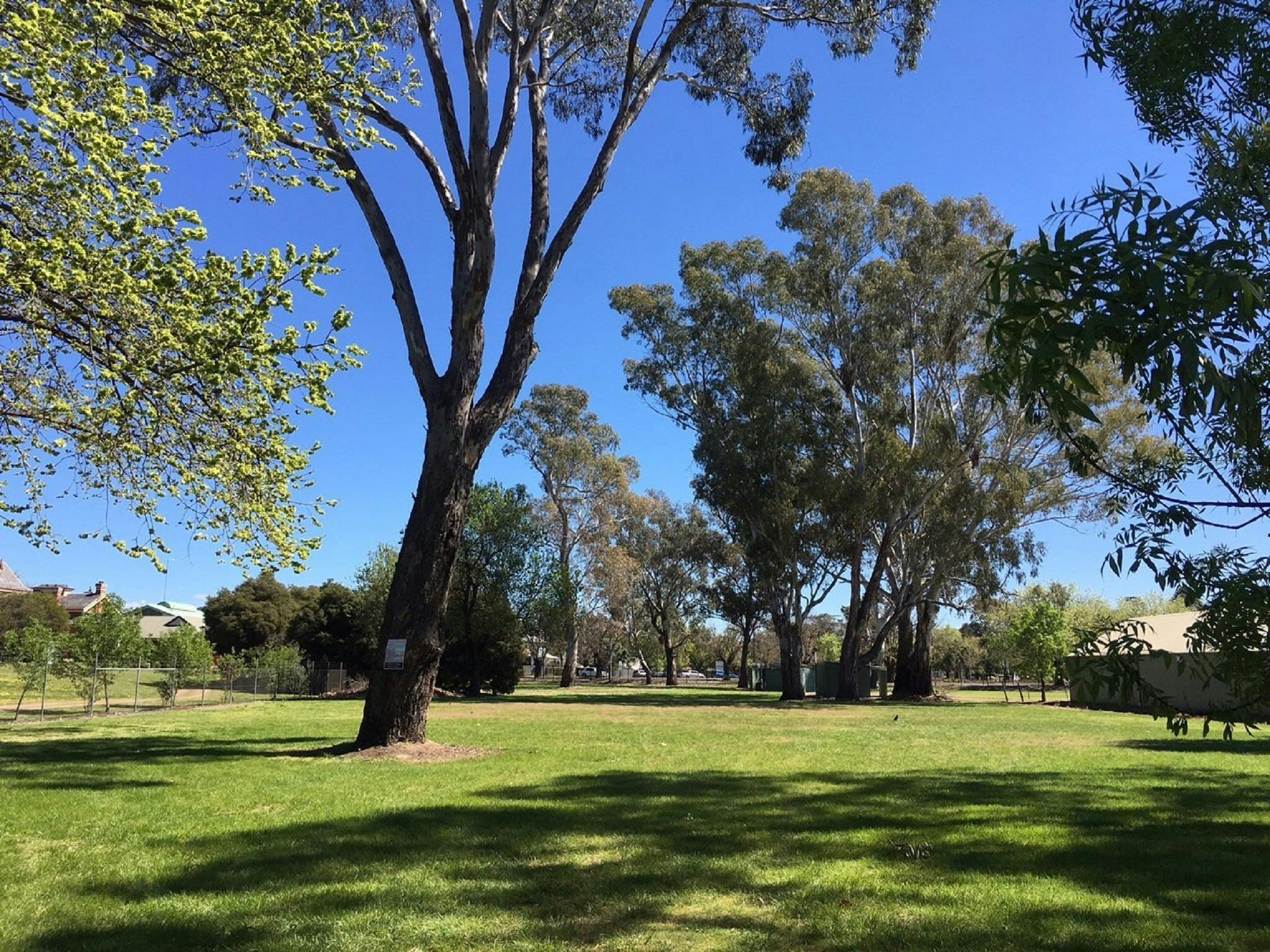 Benalla Showgrounds Caravan Park Victoria's High Country