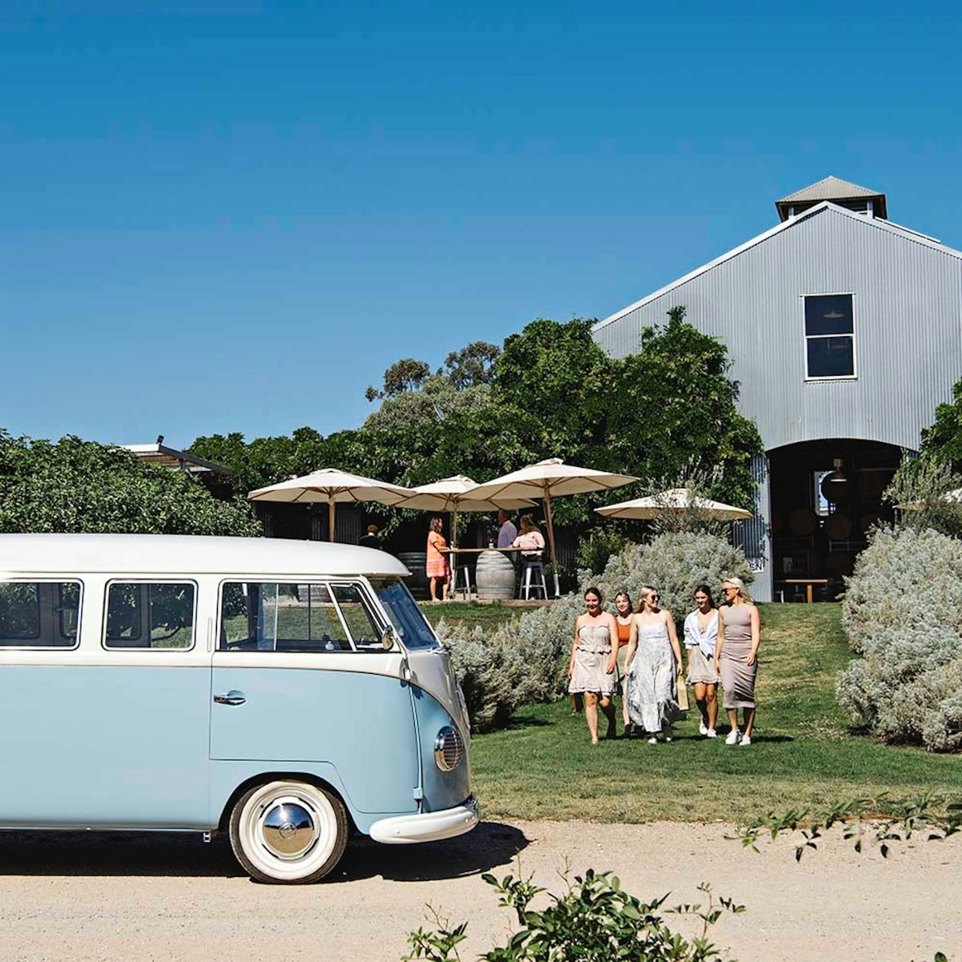 Blue Kombi