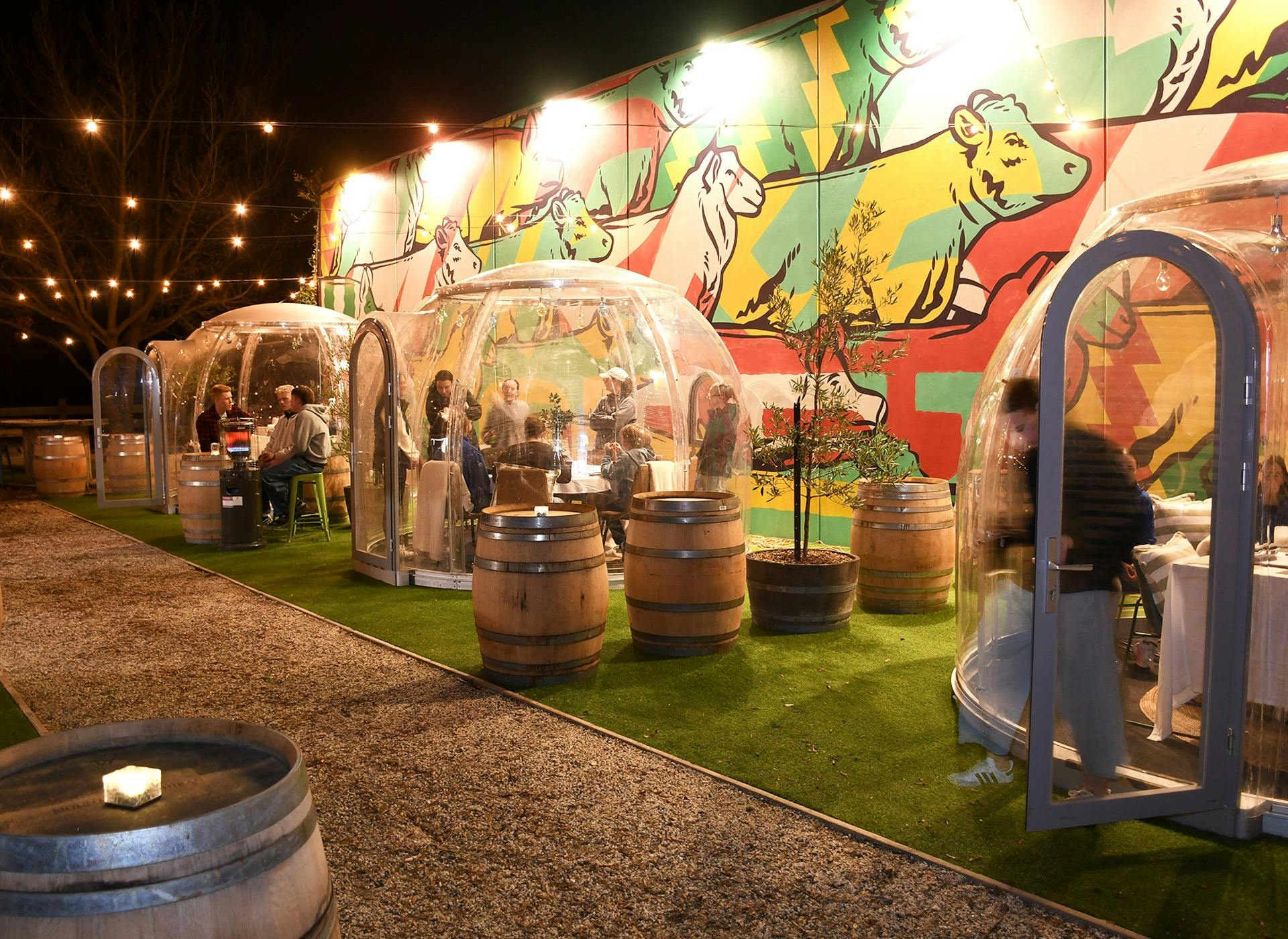 Winter Igloos at the Market Hotel Ballarat