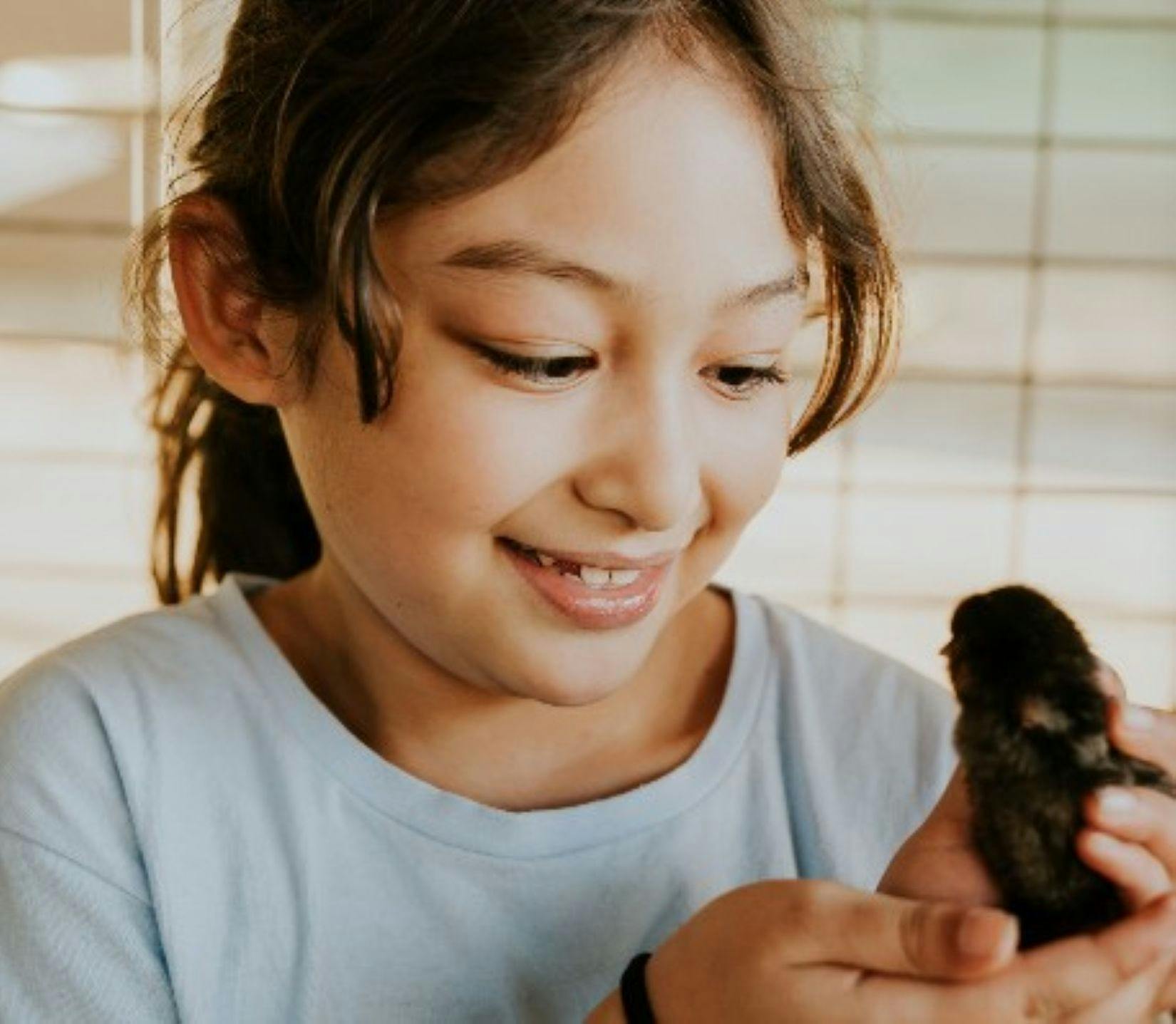 A young girl smiling at a chick in her hands