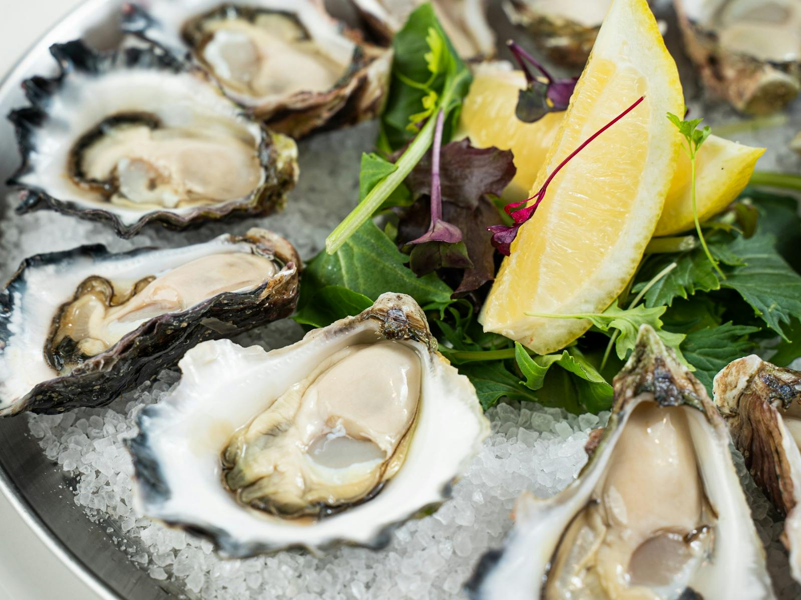 Oysters