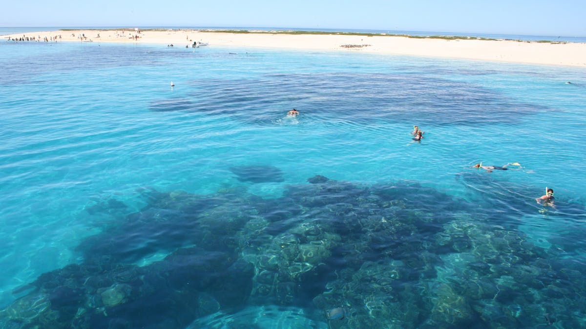 View from the Seastar of Michaelmas Cay
