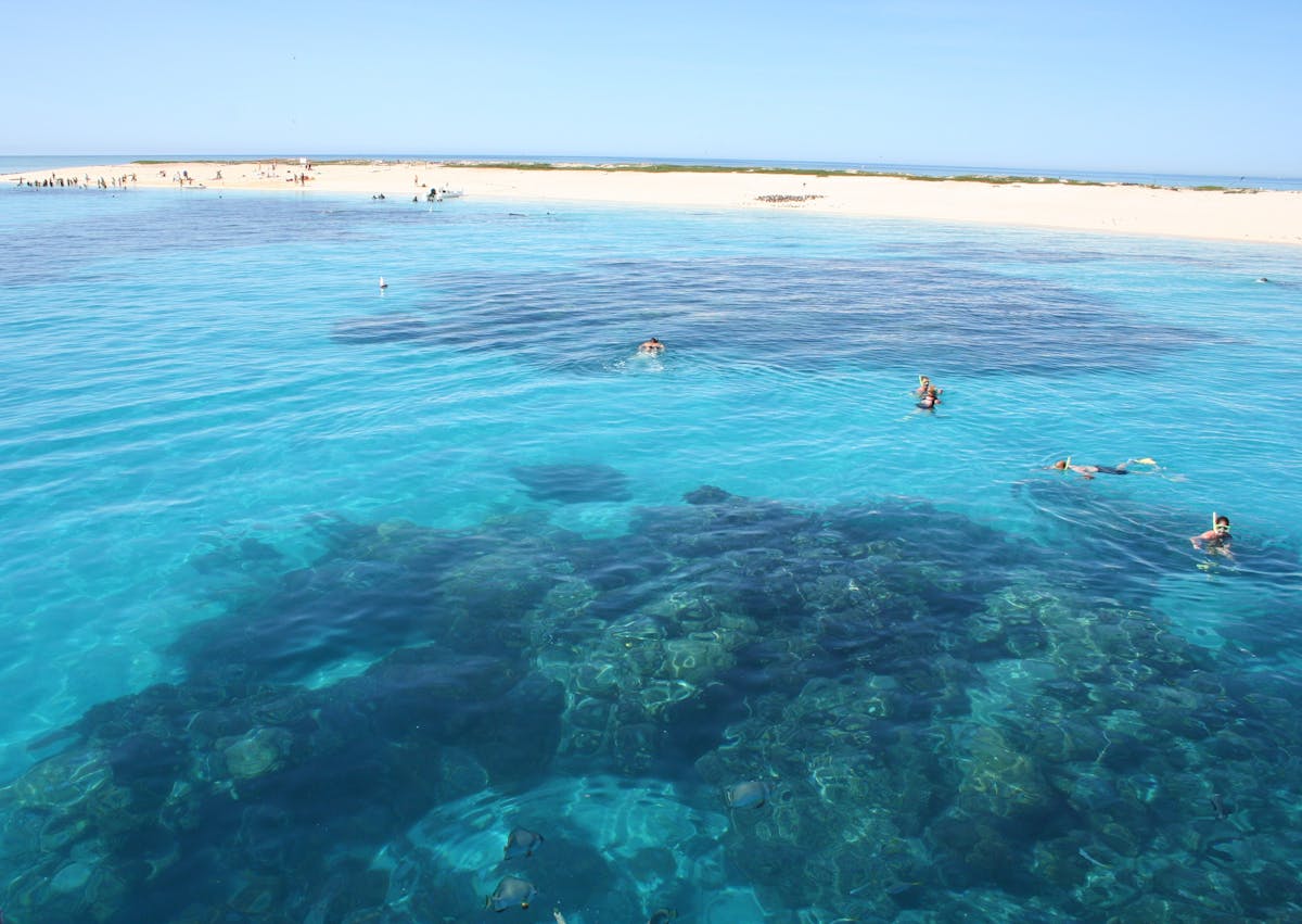 View from the Seastar of Michaelmas Cay