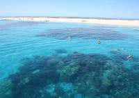 View from the Seastar of Michaelmas Cay