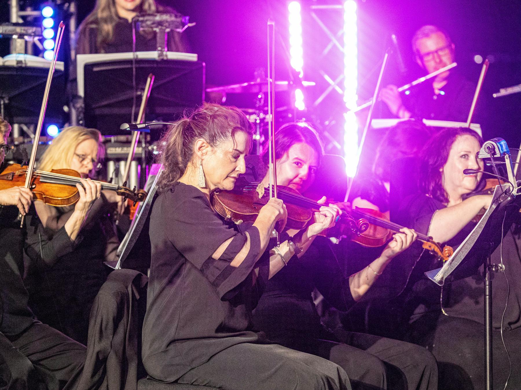 String instrument players, 2024