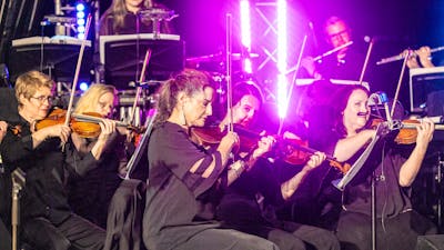 String instrument players, 2024