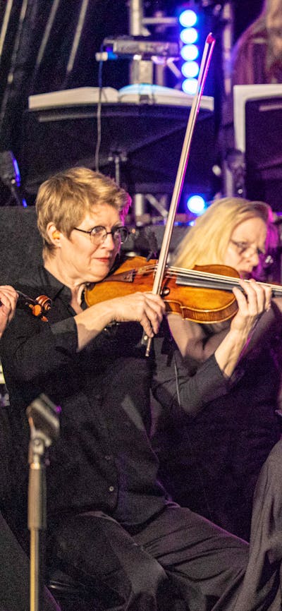 String instrument players, 2024