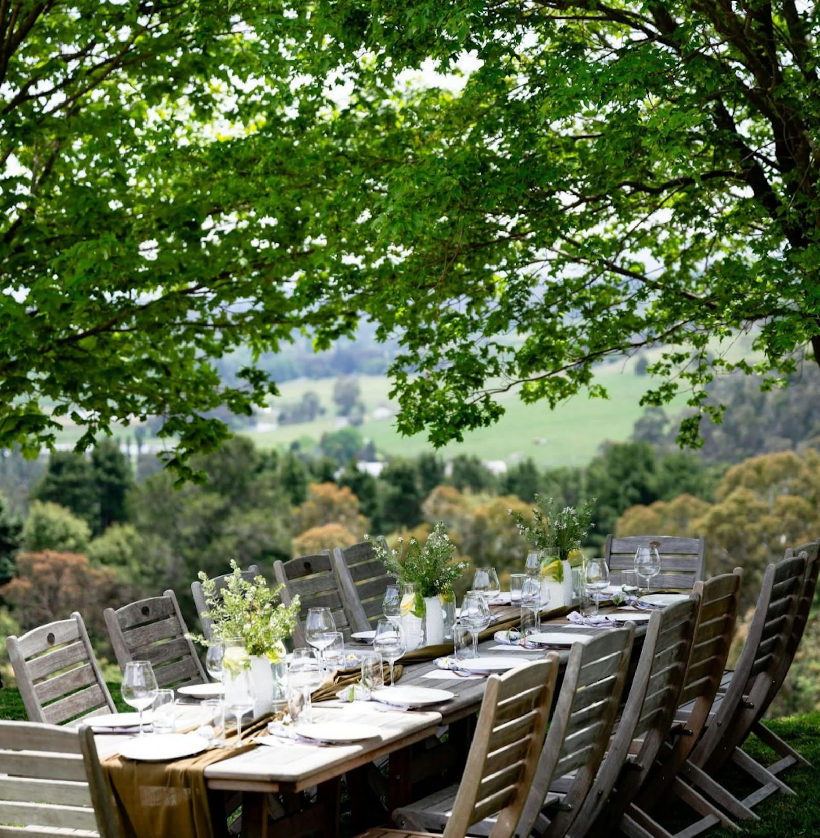 The view from Macquariedale's garden
