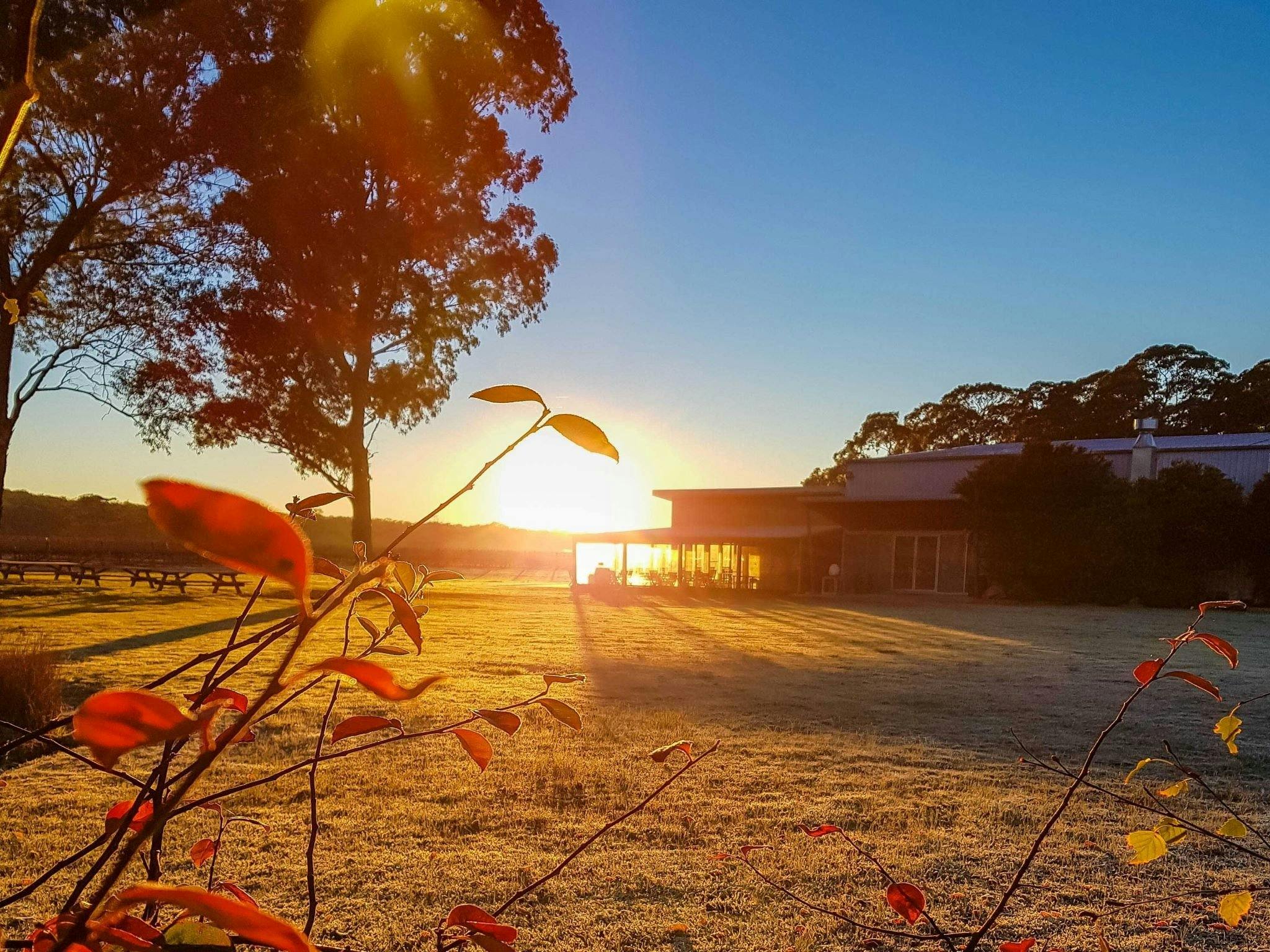 Sunrise
